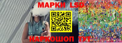 шишки Изобильный